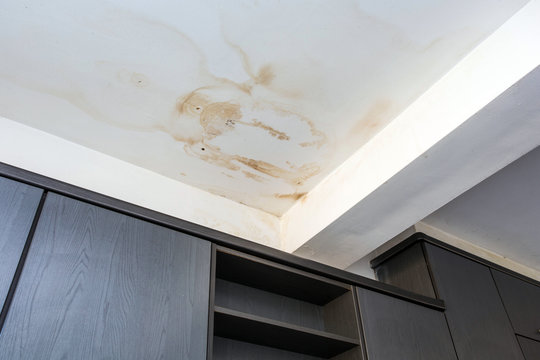 Ceiling & Wall Water Damage
