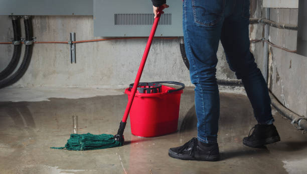 Water Cleanup NYC